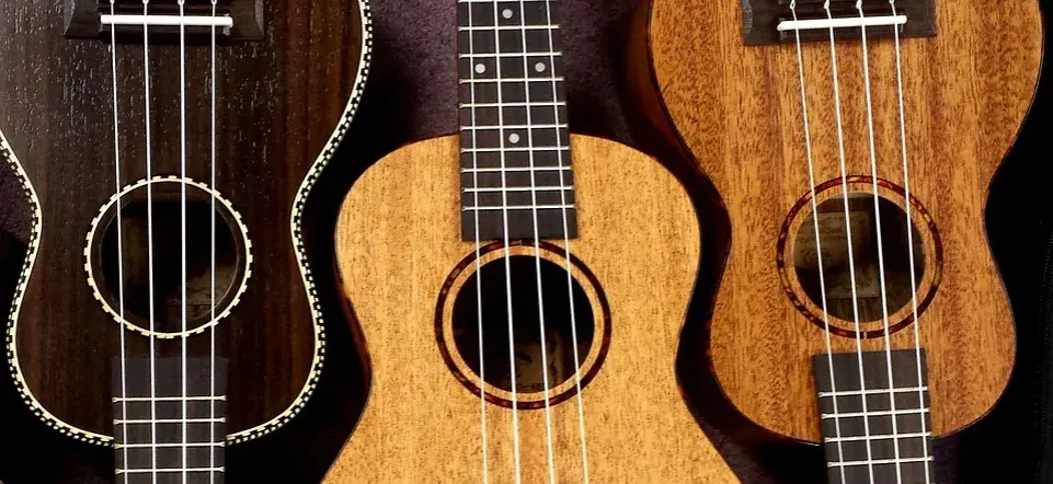 Wszystko co musisz wiedzieć o strunach w ukulele - poradnik muzyczny