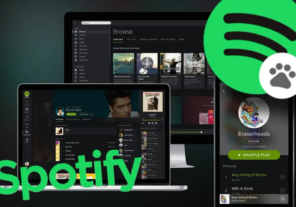 Jak kupić Spotify Premium na iPhone bez zbędnych problemów i opóźnień