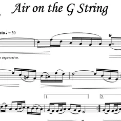 Aria na strunie G: poznaj wszystkie instrumenty do jej wykonania