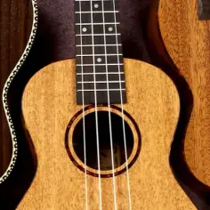 Wszystko co musisz wiedzieć o strunach w ukulele - poradnik muzyczny