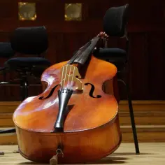 Wszystko co musisz wiedzieć o tym ile strun ma kontrabas - kompletny opis