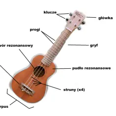 Jak wygląda ukulele? Poznaj budowę i rodzaje tego instrumentu