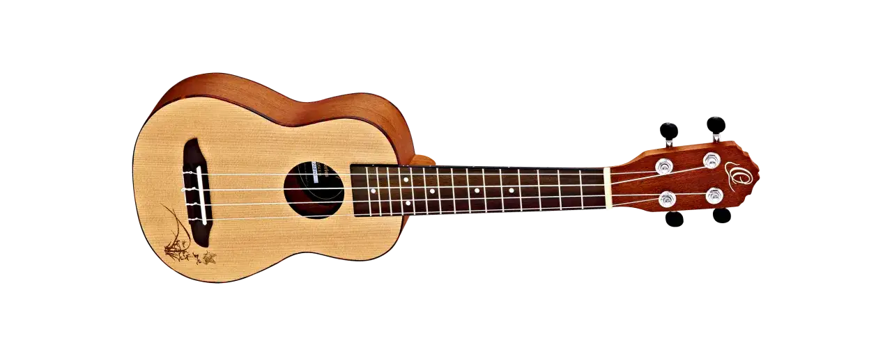 Zdjęcie Ukulele jaka firma - najlepsze marki dla początkujących i profesjonalistów