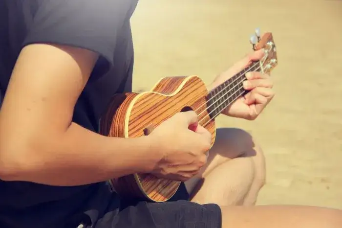 Zdjęcie Jaka kostka do ukulele - wybierz najlepszą dla swojego stylu gry