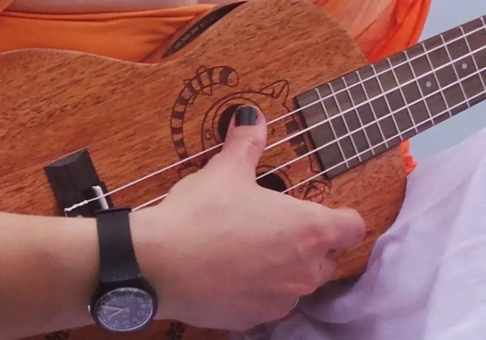 Zdjęcie Jakie struny do ukulele wybrać: kompletny poradnik dla początkujących