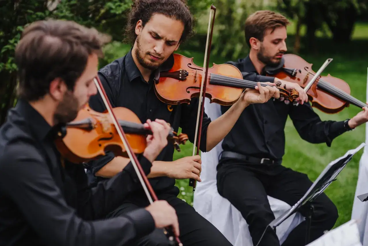 Zdjęcie Aria na strunie G: poznaj wszystkie instrumenty do jej wykonania