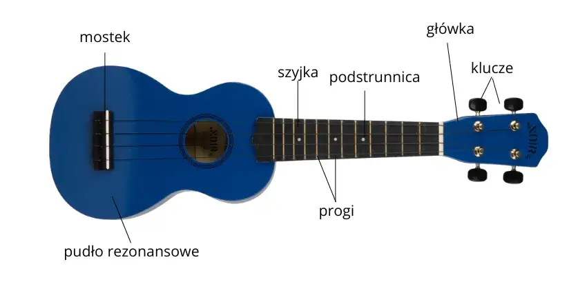 Zdjęcie Jak wygląda ukulele? Poznaj budowę i rodzaje tego instrumentu
