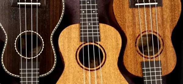 Wszystko co musisz wiedzieć o strunach w ukulele - poradnik muzyczny