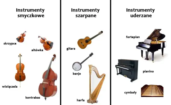 Dowiedz się ile strun ma mandolina i jak są one pogrupowane - kompendium
