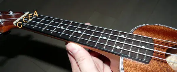 Jakie struny do ukulele wybrać: kompletny poradnik dla początkujących